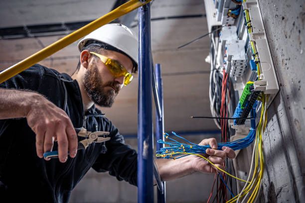 Best Electrical Repair Services  in Sturgis, MI